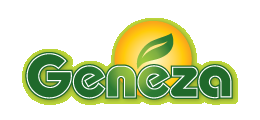 Geneza