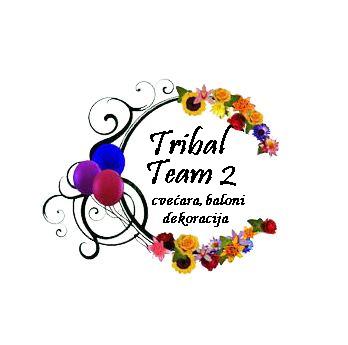 Tribal team 2