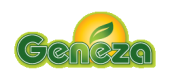 Geneza